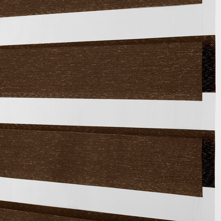 Levolor Custom Cordloop Banded Roller Shades, Terra in Brown Wayfair